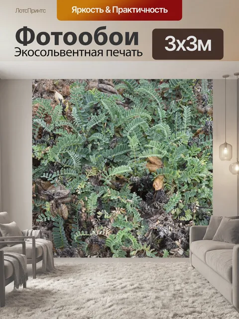 Фотообои растение на пляже