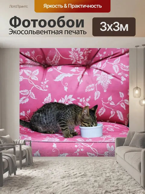 Фотообои Серый котенок ест в кресло патио