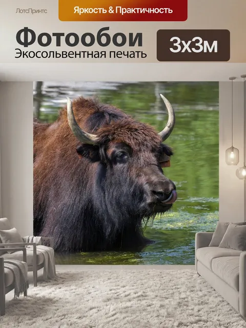 Фотообои Яка