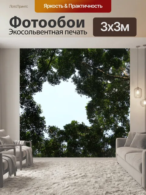 Фотообои Лес
