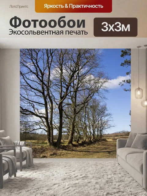 Фотообои Деревья