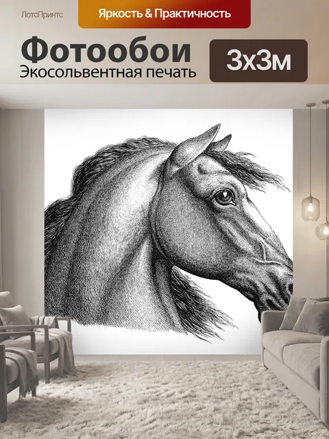Фотообои Лошадь