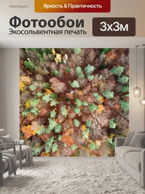 Фотообои С высоты птичьего полета