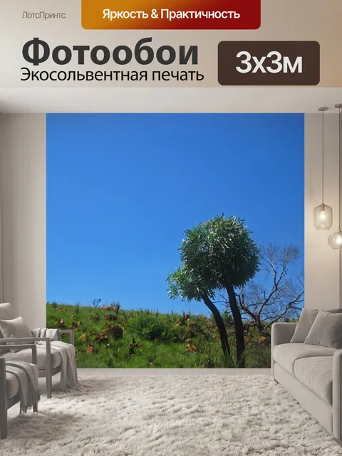 Фотообои капуста на фоне голубого неба