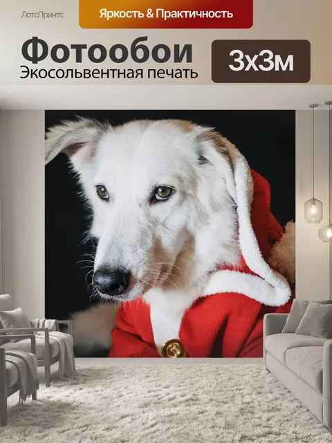Фотообои Собака