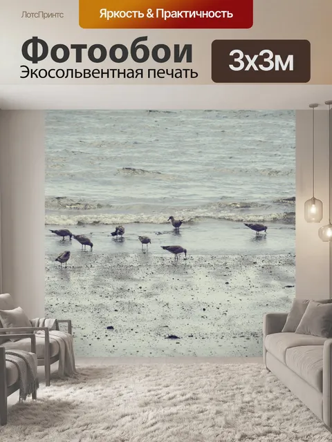 Фотообои Группа чаек на песке