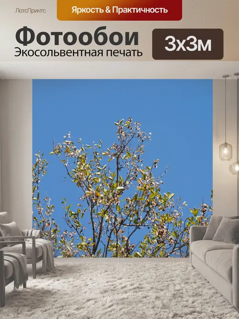 Фотообои верхушки деревьев с меняющимися листьями