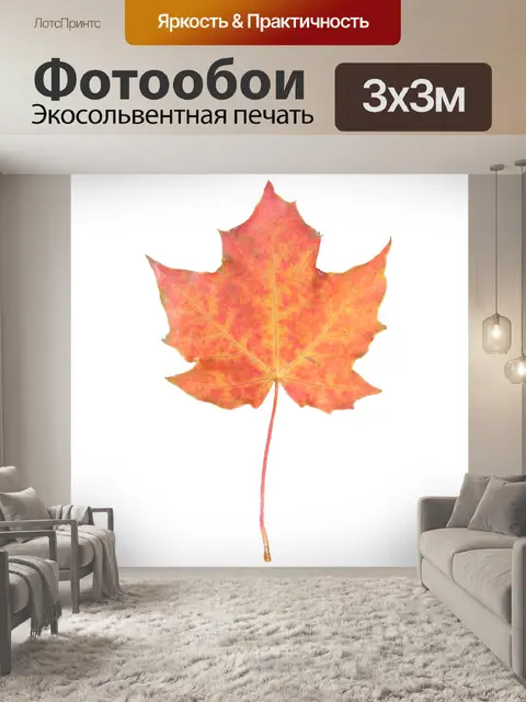 Фотообои Оранжевый Maple Leaf