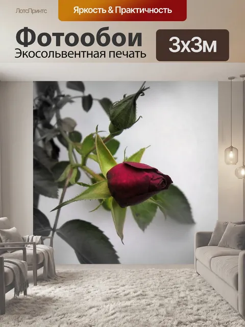 Фотообои Соло роз