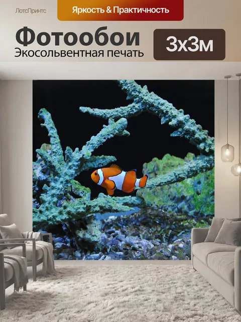 Фотообои Немо
