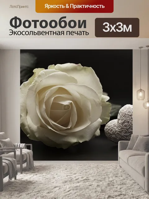 Фотообои Роза