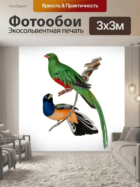 Фотообои Птицы Тропическое Винтажное Искусство