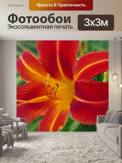 Фотообои оранжевый желтый цветок лилии