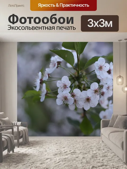 Фотообои Белый