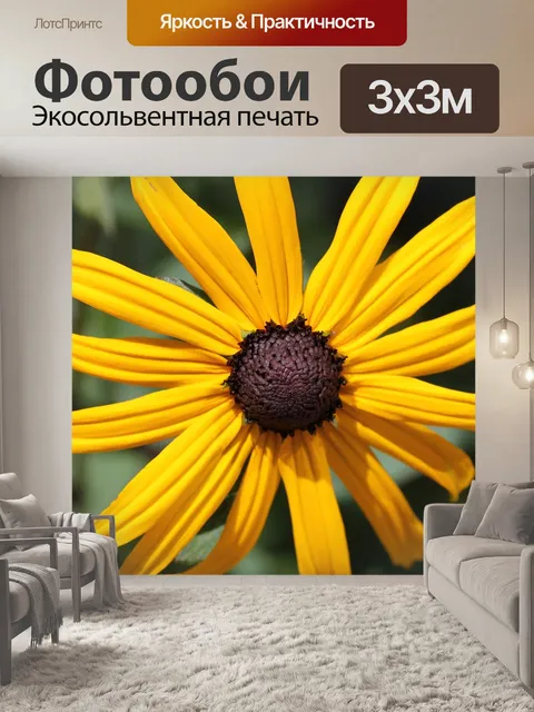 Фотообои Рудбекия
