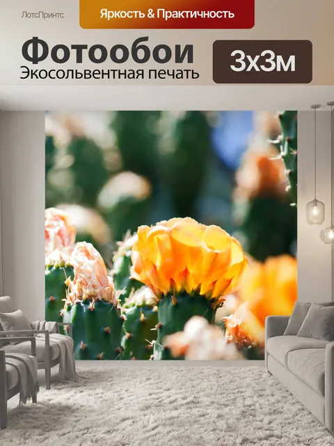 Фотообои оранжевый цветок на опунции