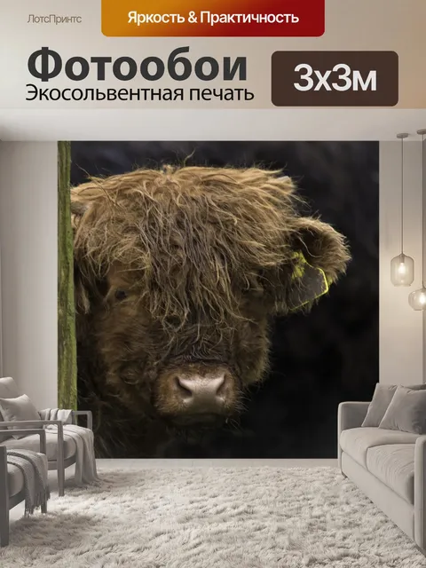 Фотообои Коричневый