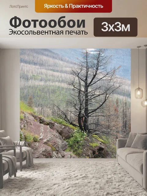 Фотообои Постоянное сгоревшее дерево