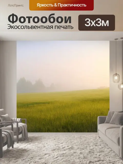 Фотообои туман в стиле модернизм