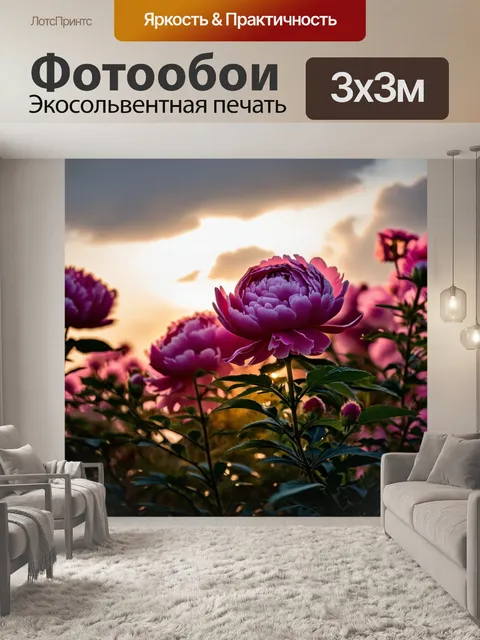 Фотообои пионы в вечернем освещении, распускающиеся в мягком свете заката, с длинными тенями и мягкими облаками на фоне