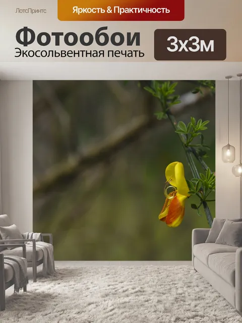 Фотообои Желтый и оранжевый Нежный цветок
