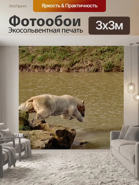 Фотообои Полярный медведь