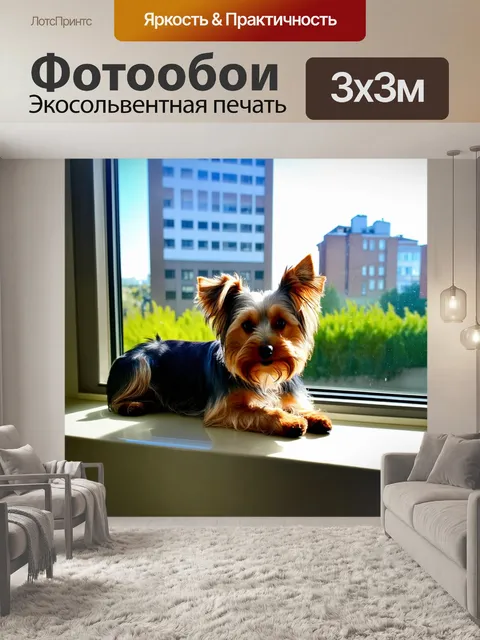 Фотообои йоркширский терьер лежит на подоконнике, наслаждаясь солнечными лучами