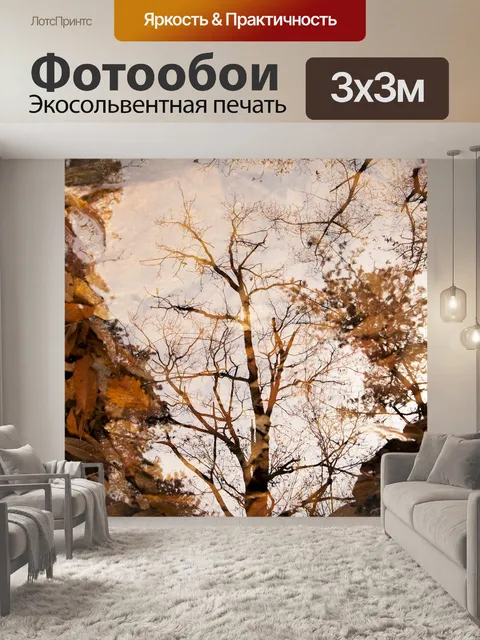 Фотообои Осень