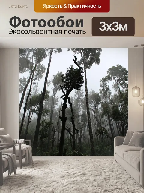 Фотообои Туман