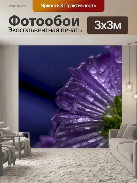 Фотообои Цветок в тени