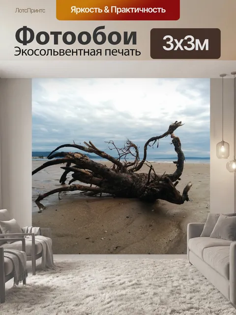 Фотообои Небо