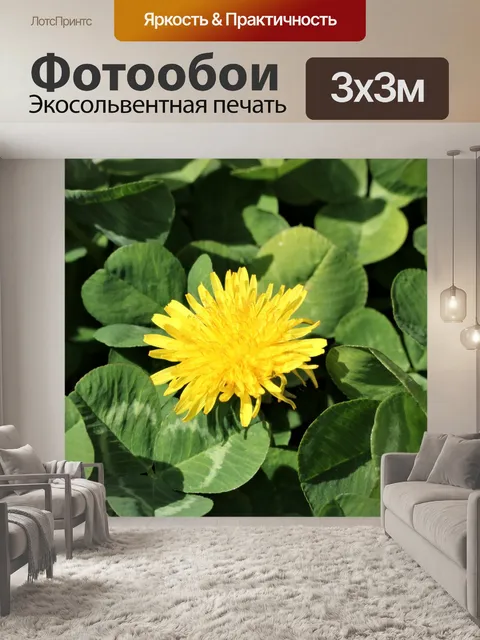 Фотообои Одуванчик в клевер