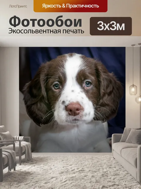 Фотообои Щенок