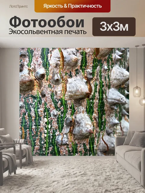 Фотообои Шипы
