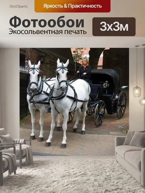 Фотообои Лошади