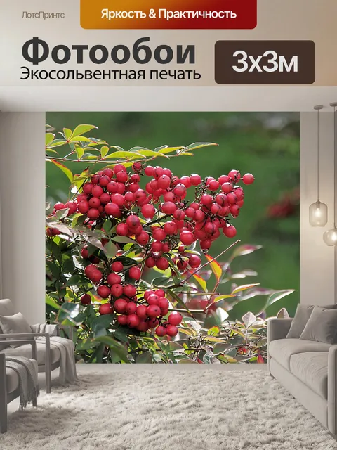 Фотообои Красный ягодный куст в солнечном свете