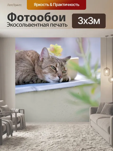 Фотообои Кошка