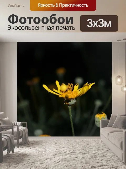 Фотообои желтый краб паук