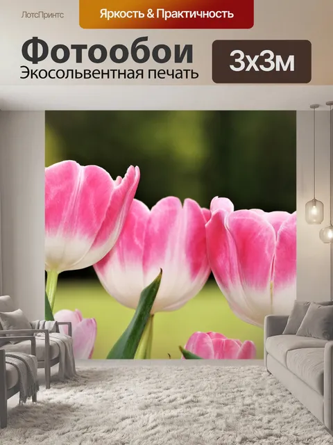 Фотообои Три розовых тюльпана крупным планом