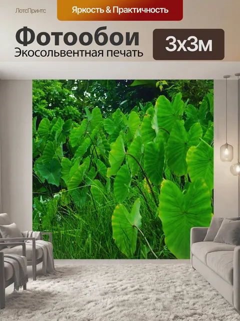 Фотообои Хамы
