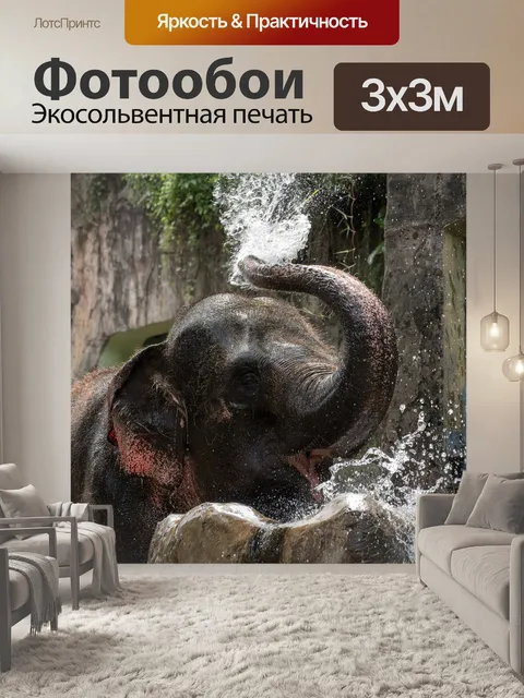 Фотообои Слон