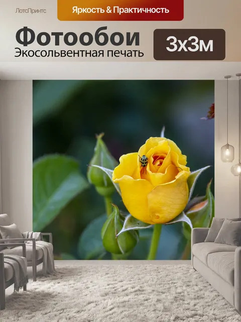 Фотообои Бутон розы и зеленая божья коровка