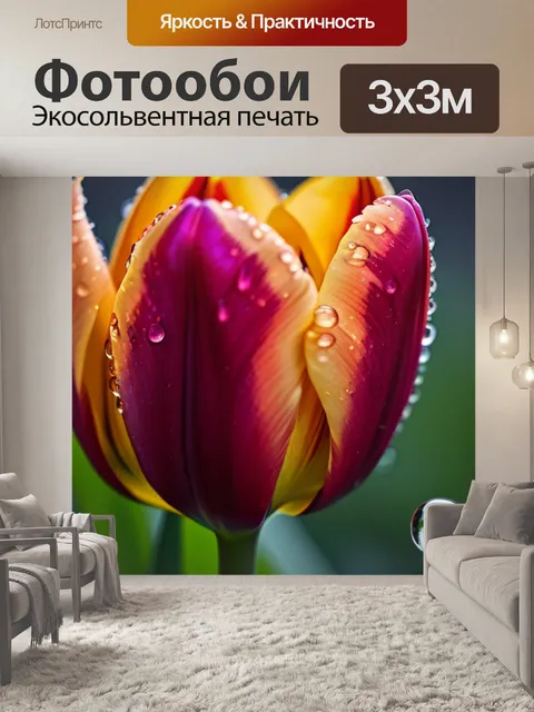 Фотообои тюльпан в каплях росы