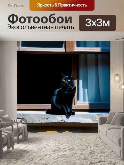 Фотообои черная кошка на окне старинного особняка