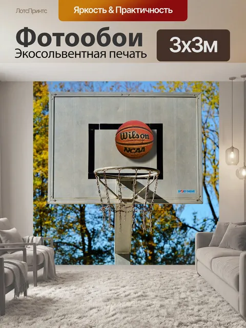 Фотообои Баскетбольное кольцо