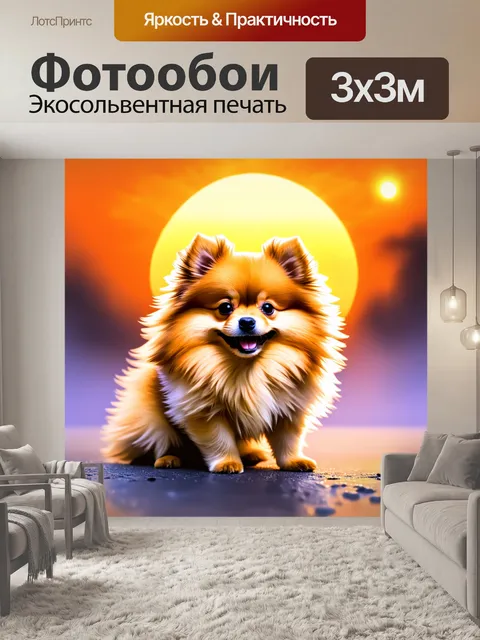 Фотообои игривый щенок померанского шпица на фоне яркого заката с фоном, переливающимся цветами оранжевого и пурпурного