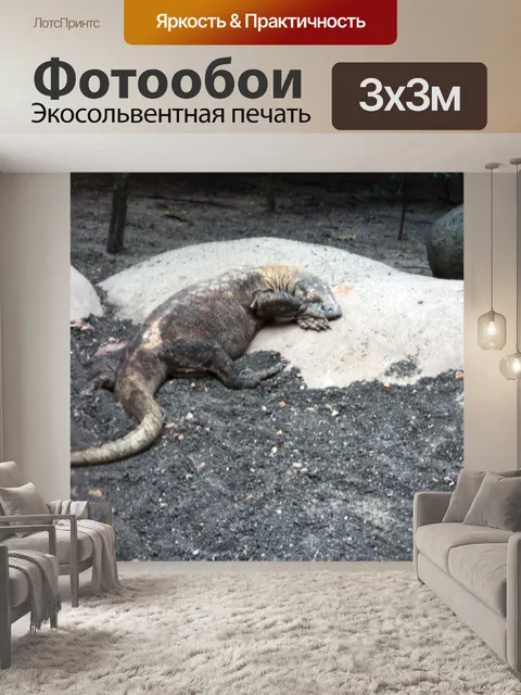 Фотообои Дракон Комодо