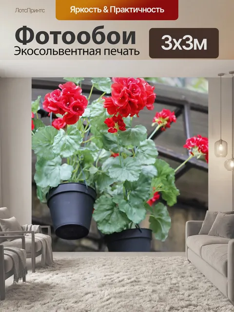 Фотообои Горшок для растений