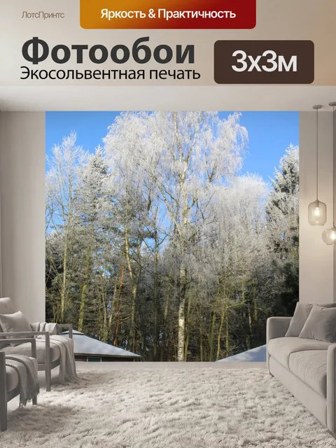 Фотообои Зимний лес