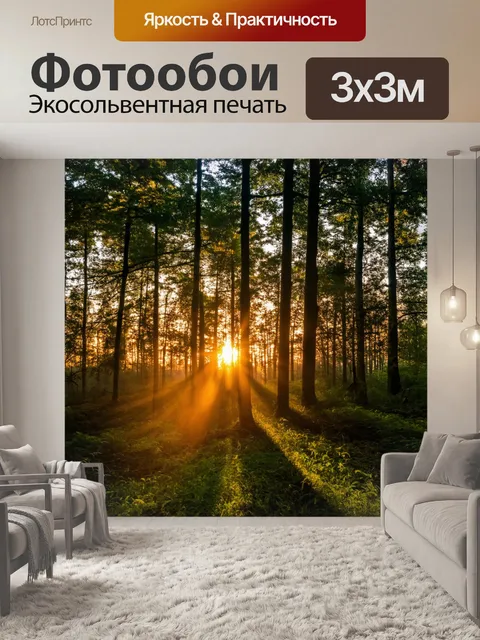 Фотообои закат в лесу, где лучи света пробиваются сквозь листву, создавая загадочные тени и мягкое свечение